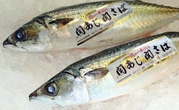 関サバ 関アジは大分県 佐賀関の高級ブランド魚 通販のさかな屋さん 郷土鮮魚館